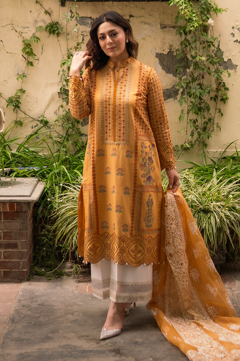 Hadiyya Aazer in Nargis Ka Phool
