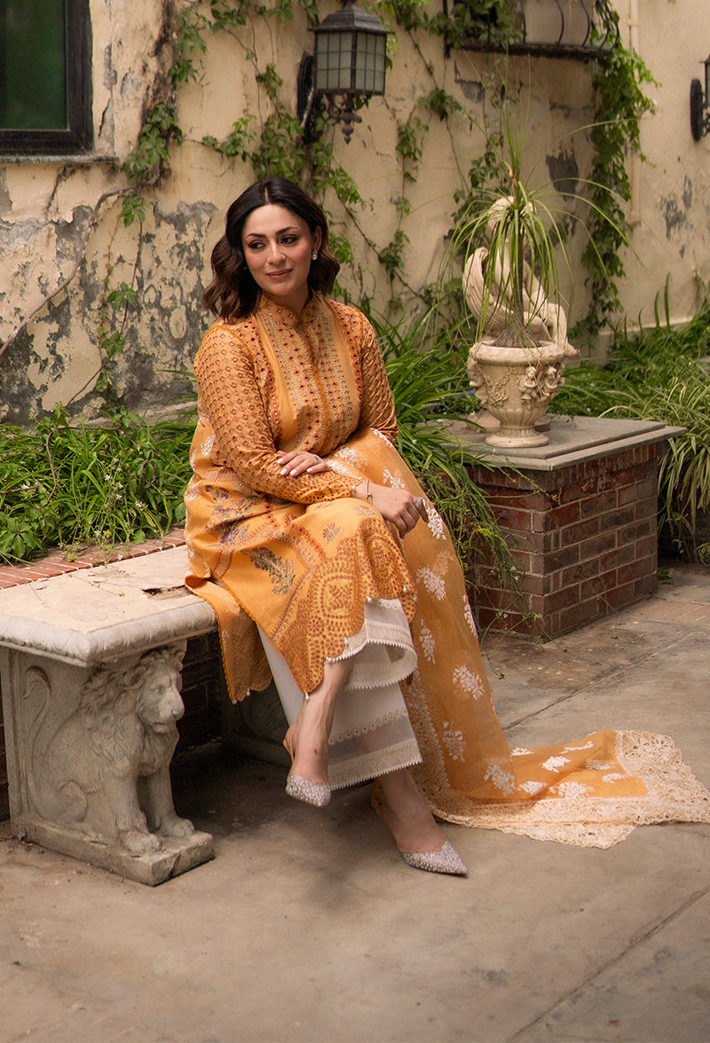 Hadiyya Aazer in Nargis Ka Phool