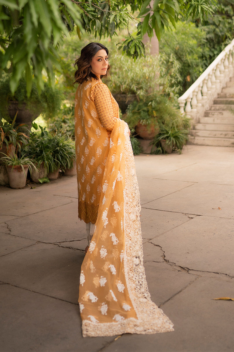 Hadiyya Aazer in Nargis Ka Phool