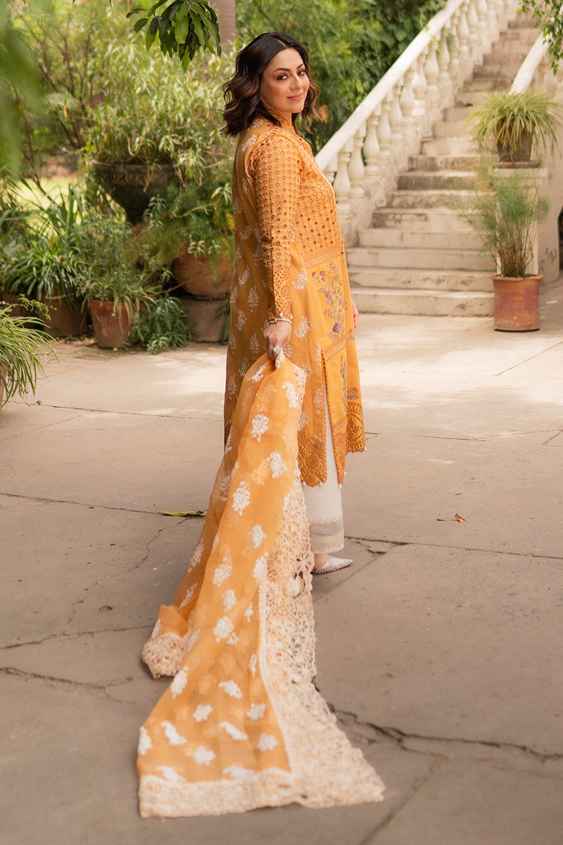 Hadiyya Aazer in Nargis Ka Phool
