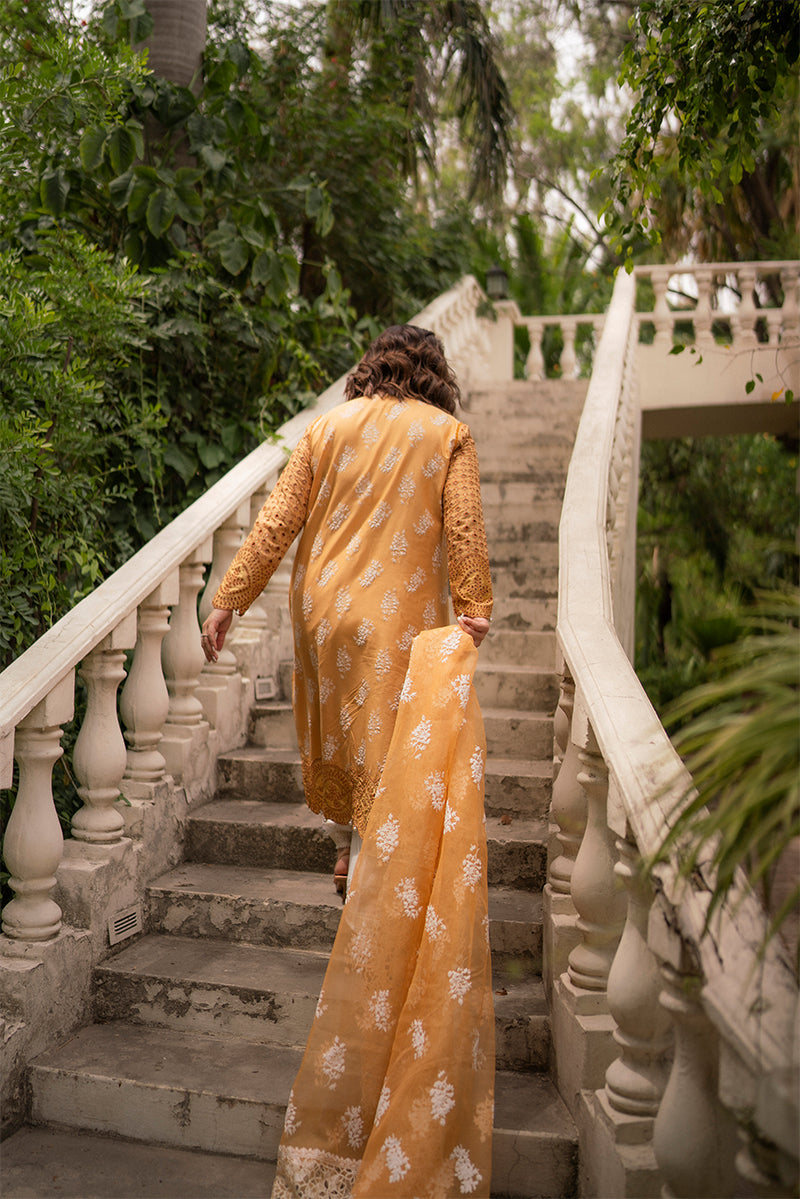 Hadiyya Aazer in Nargis Ka Phool