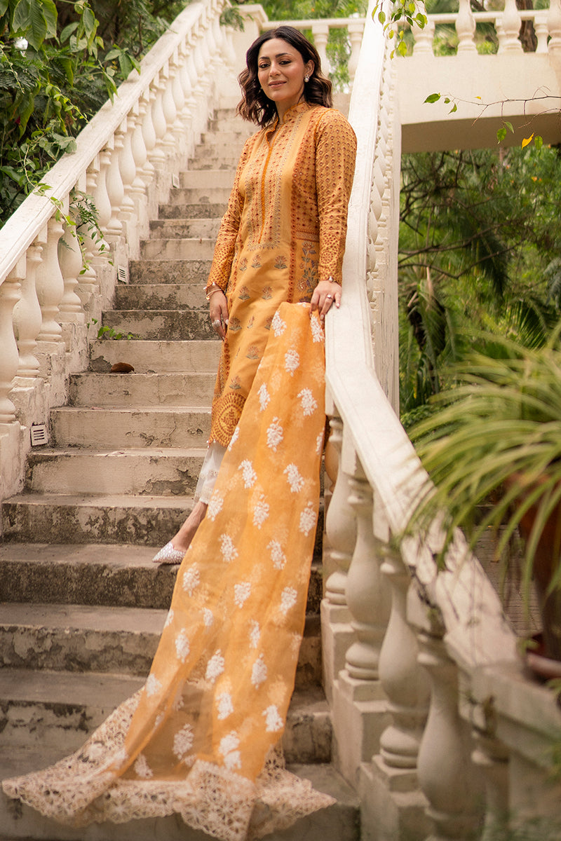Hadiyya Aazer in Nargis Ka Phool