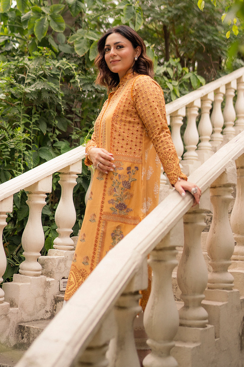 Hadiyya Aazer in Nargis Ka Phool