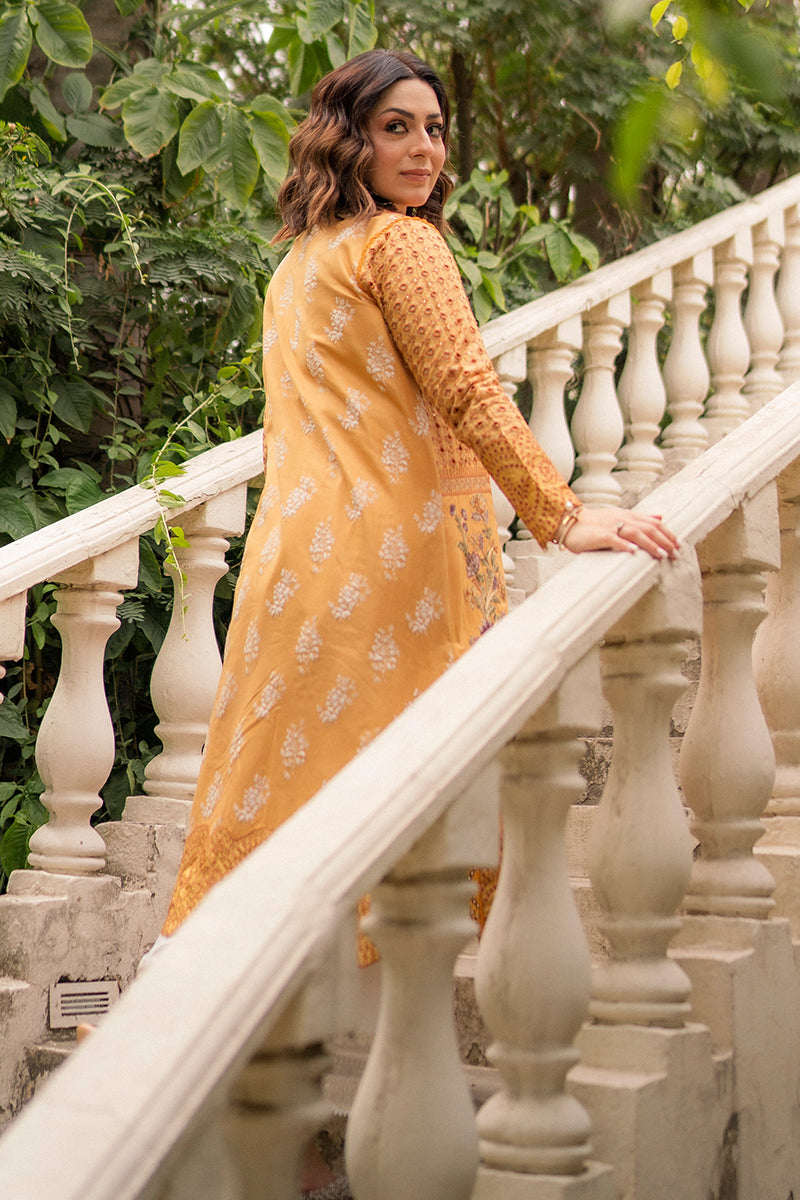 Hadiyya Aazer in Nargis Ka Phool