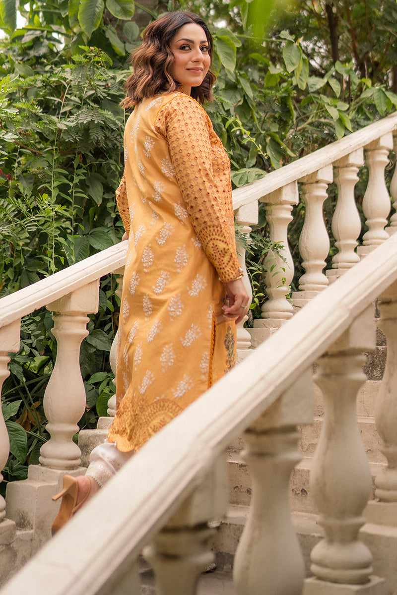 Hadiyya Aazer in Nargis Ka Phool