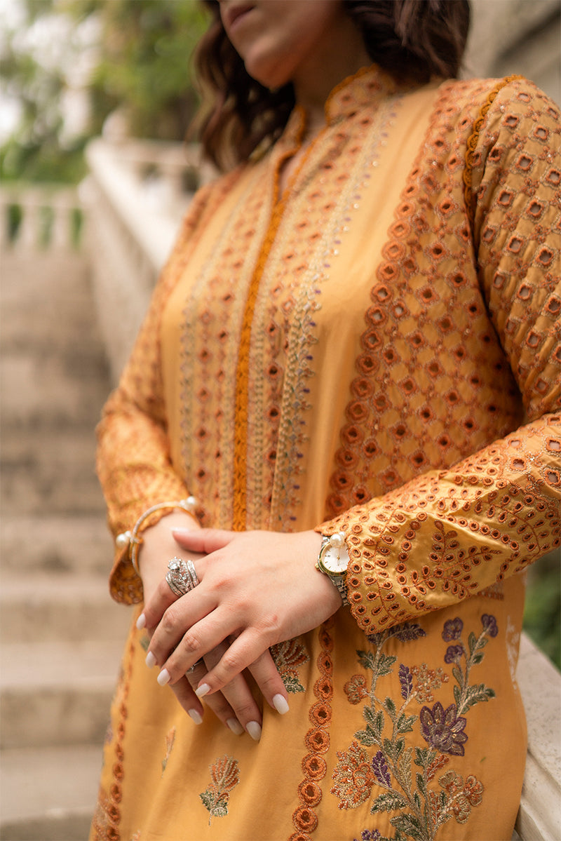 Hadiyya Aazer in Nargis Ka Phool