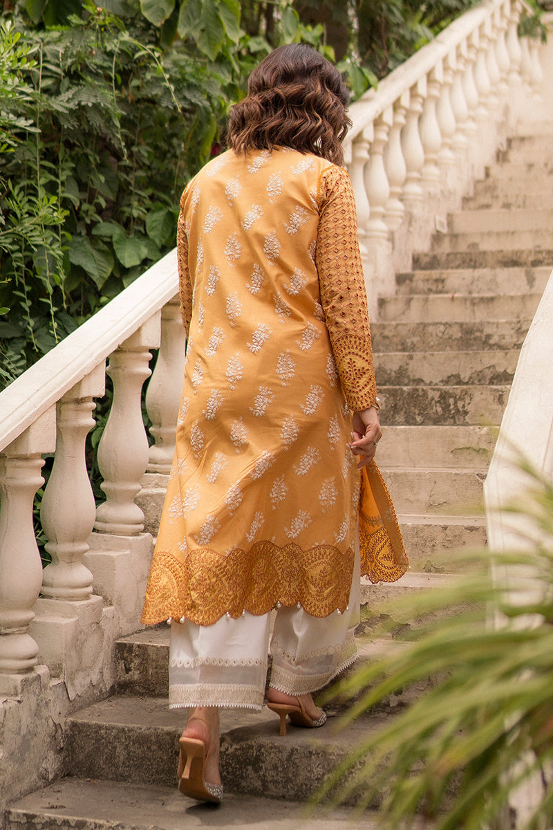 Hadiyya Aazer in Nargis Ka Phool