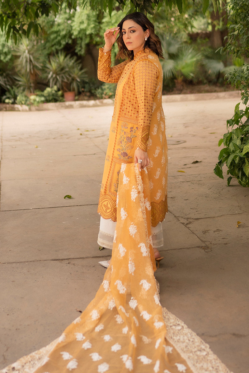 Hadiyya Aazer in Nargis Ka Phool