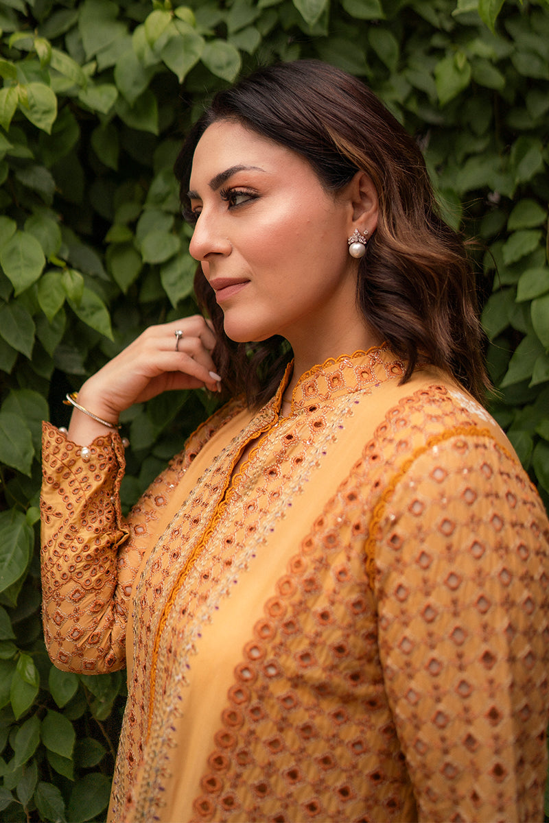 Hadiyya Aazer in Nargis Ka Phool