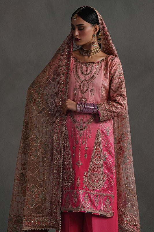 Mojgan Lighter Version