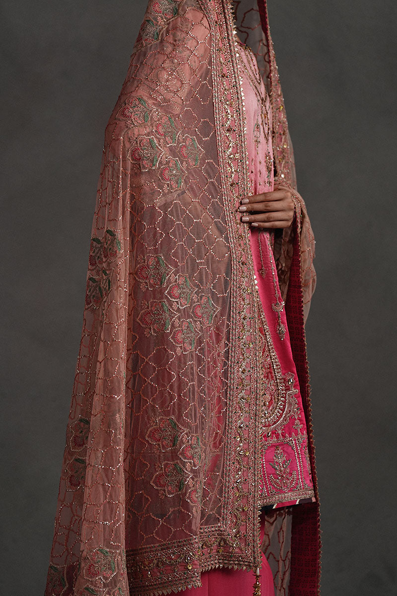 Mojgan Lighter Version