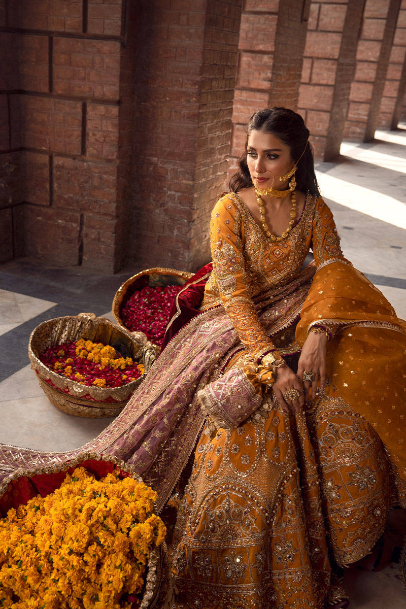 Picture of Gul-E-Maryam