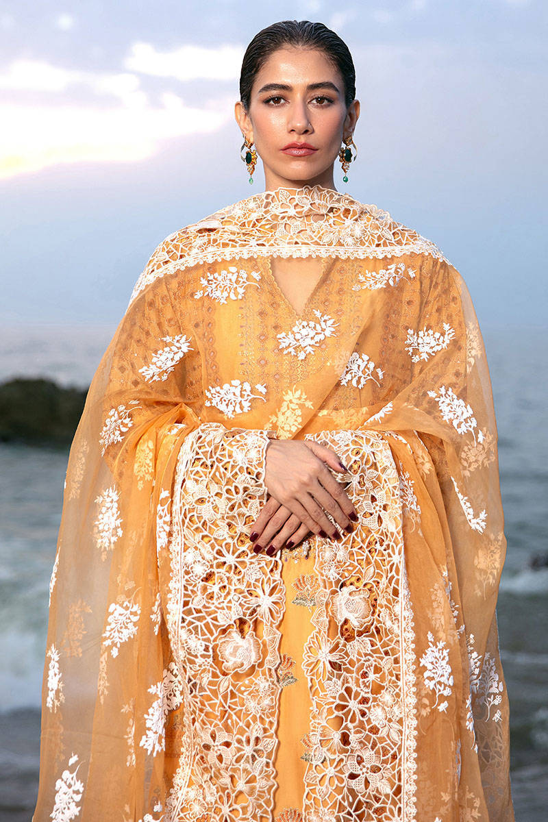 Picture of Nargis Ka Phool