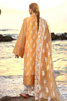 Picture of Nargis Ka Phool