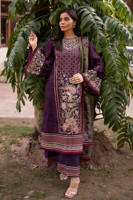 Picture of Shazray Rana in Gul-E-Lala