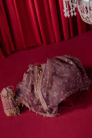 Picture of Dil Nasheen