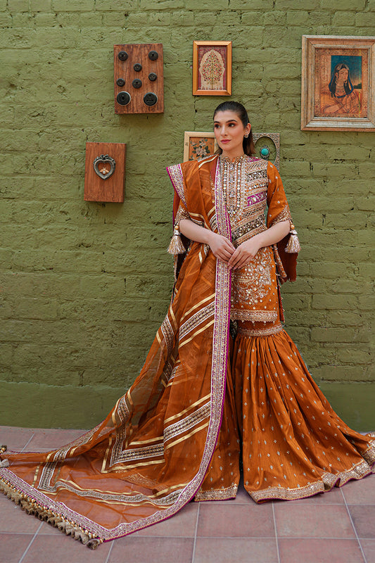 Zainab Reza in Ranjish