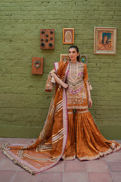 Zainab Reza in Ranjish