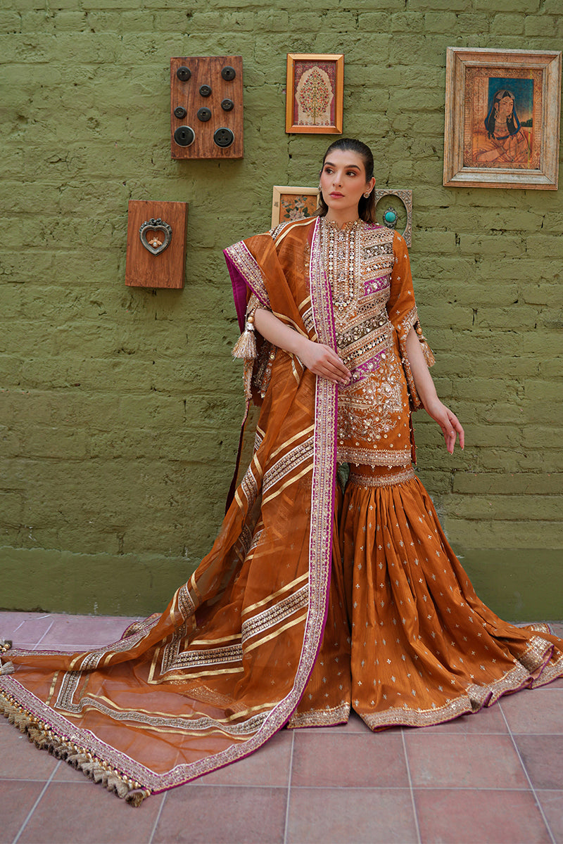 Zainab Reza in Ranjish