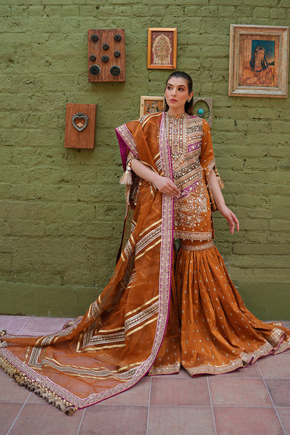 Zainab Reza in Ranjish