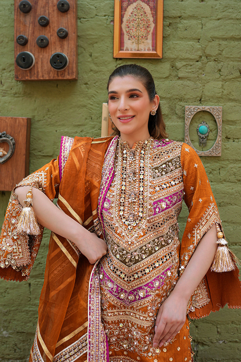 Zainab Reza in Ranjish