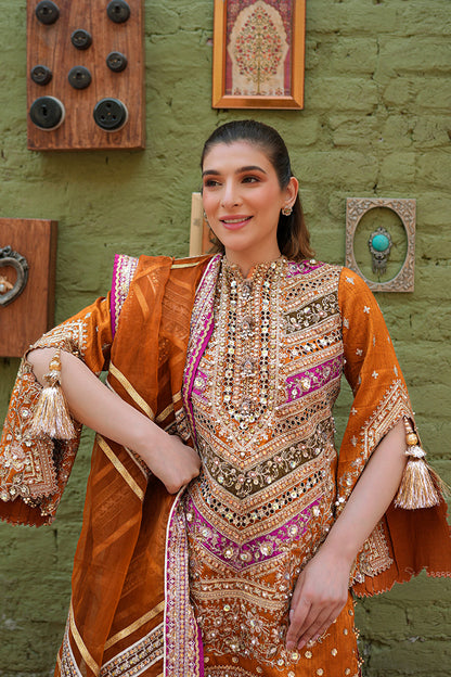 Zainab Reza in Ranjish