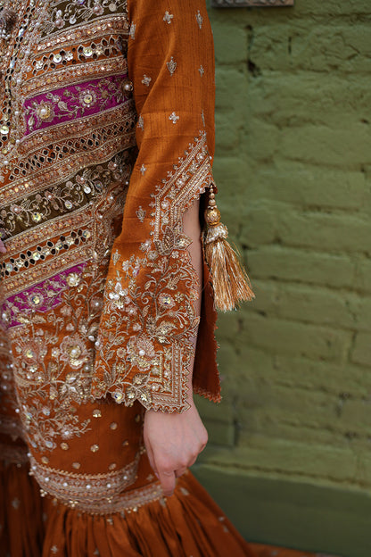 Zainab Reza in Ranjish