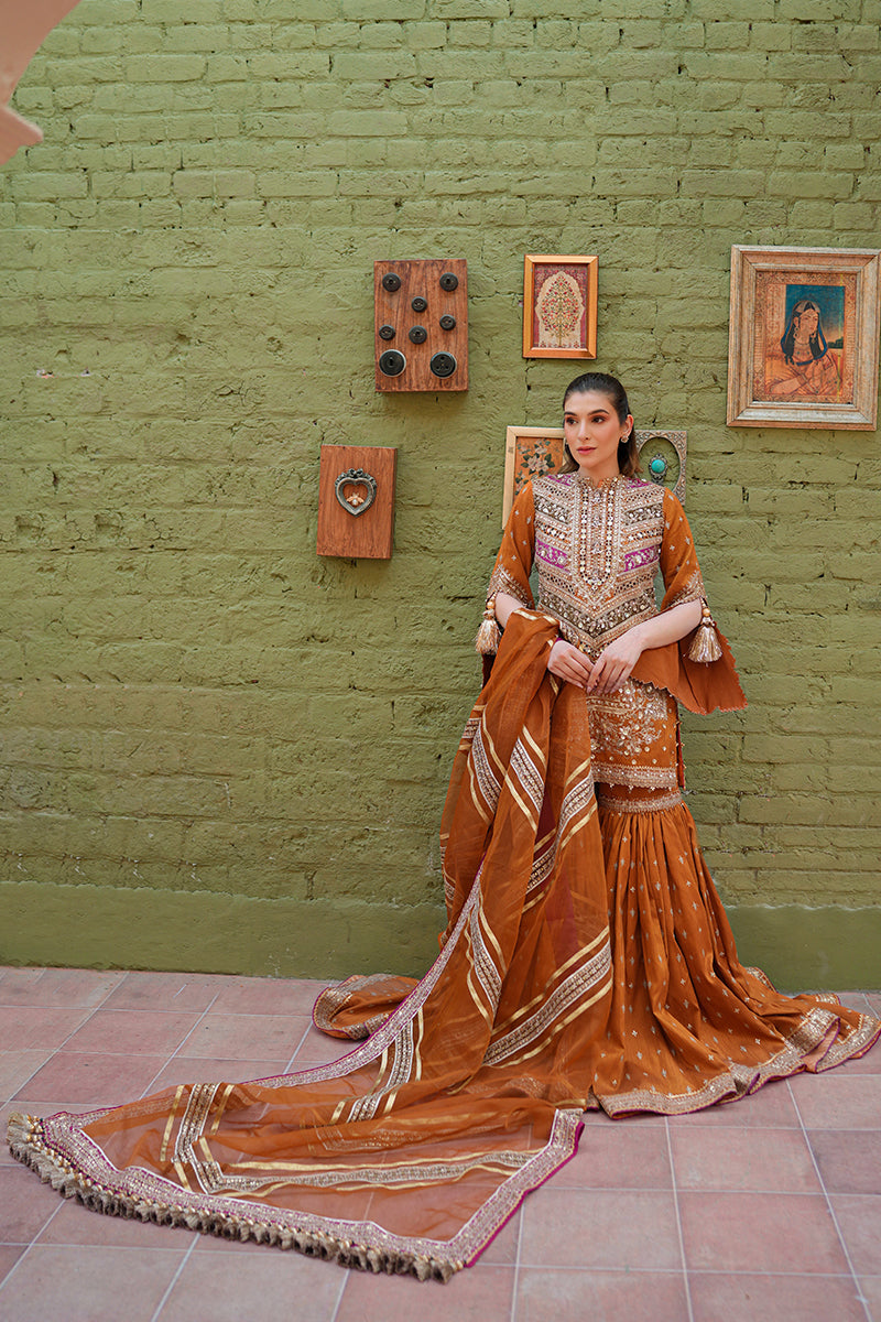 Zainab Reza in Ranjish