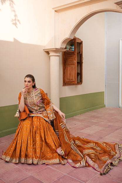 Zainab Reza in Ranjish