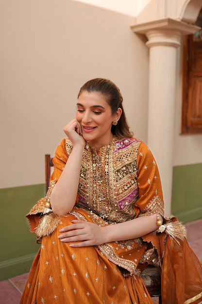 Zainab Reza in Ranjish