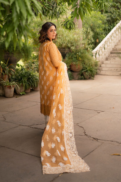 Hadiyya Aazer in Nargis Ka Phool