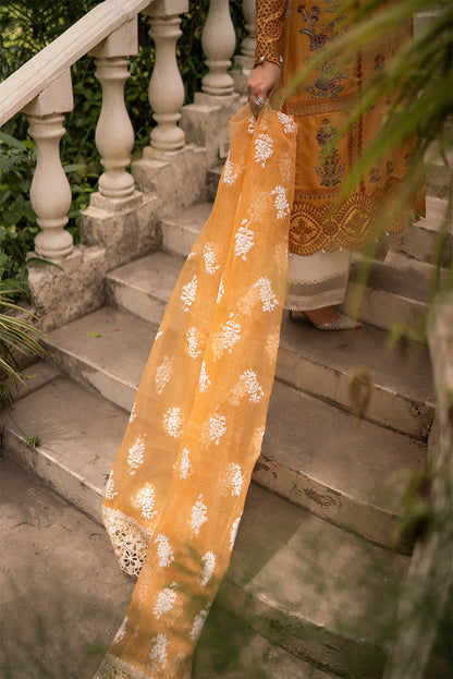 Hadiyya Aazer in Nargis Ka Phool