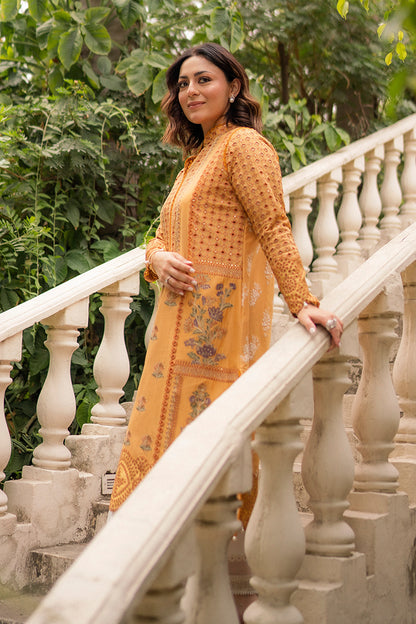 Hadiyya Aazer in Nargis Ka Phool