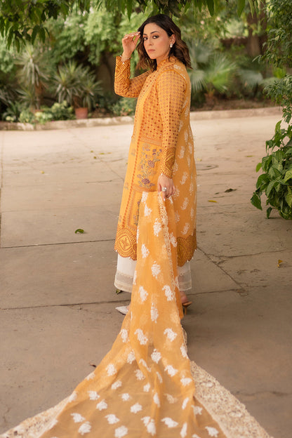 Hadiyya Aazer in Nargis Ka Phool