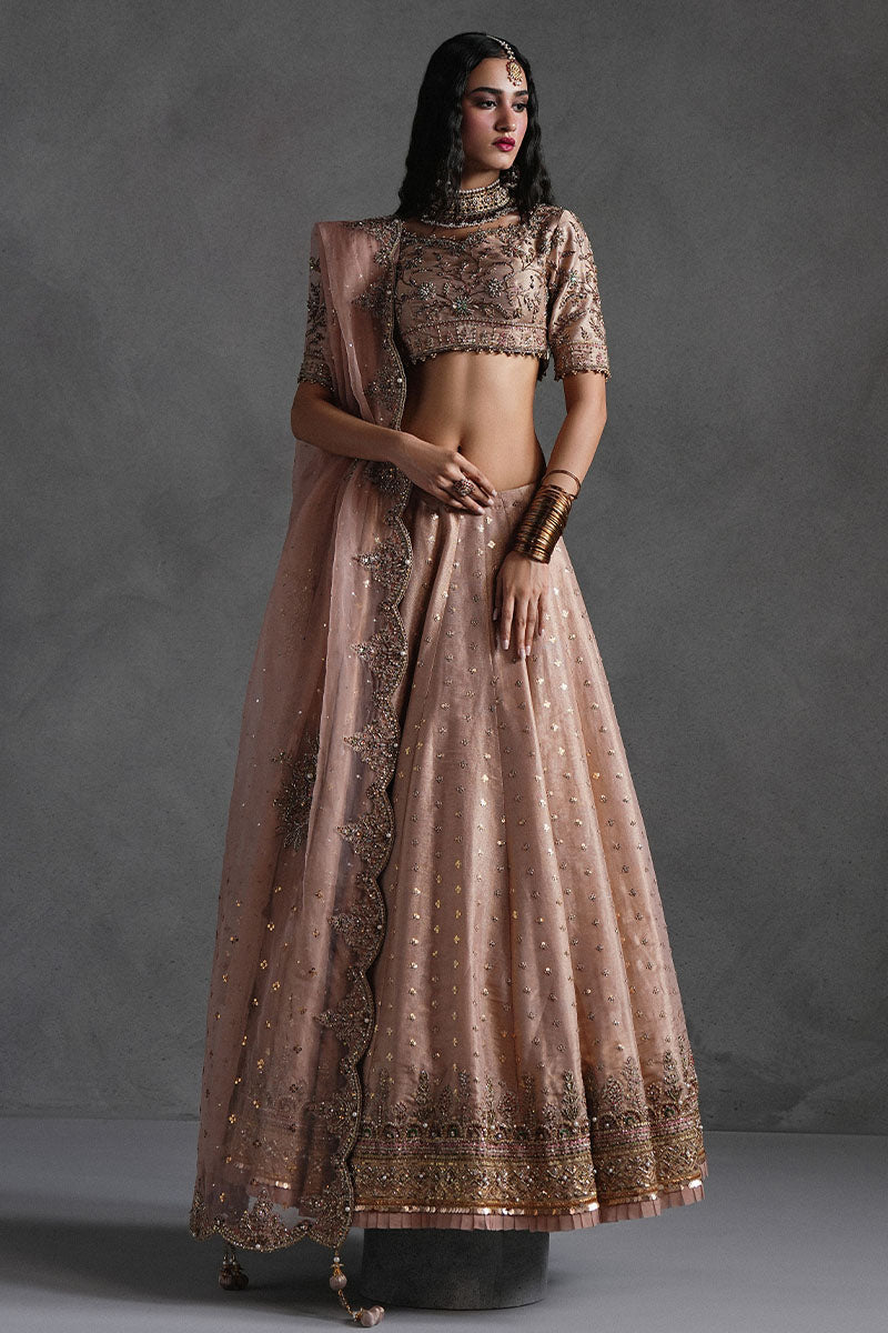 Rose Pink Lehnga Choli