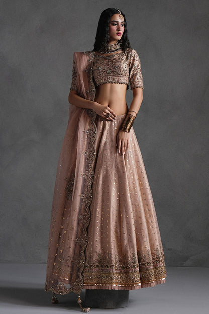 Rose Pink Lehnga Choli