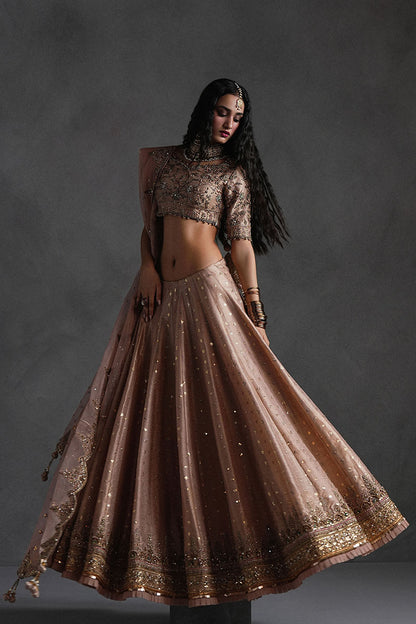 Rose Pink Lehnga Choli
