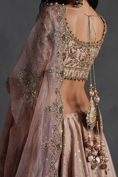 Rose Pink Lehnga Choli
