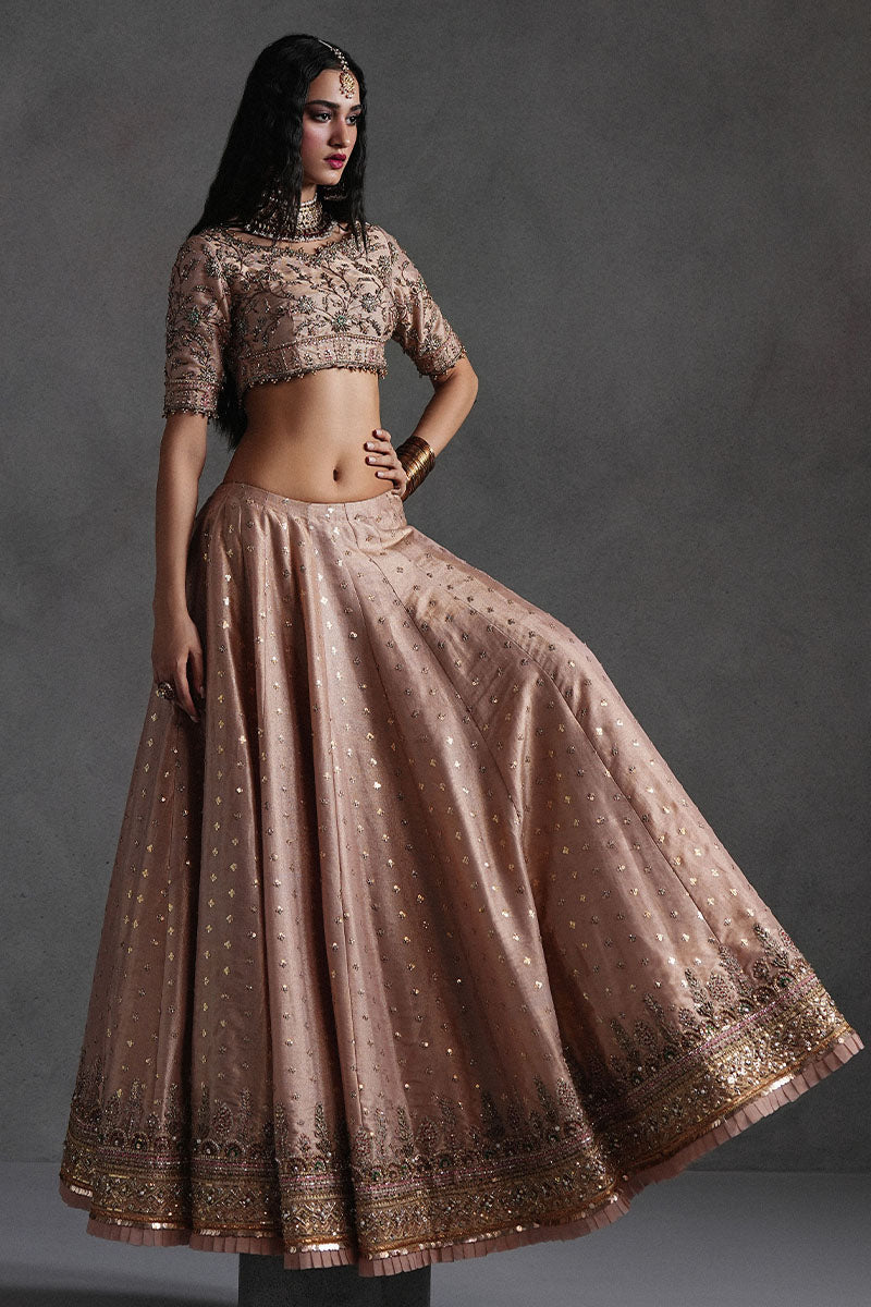 Rose Pink Lehnga Choli