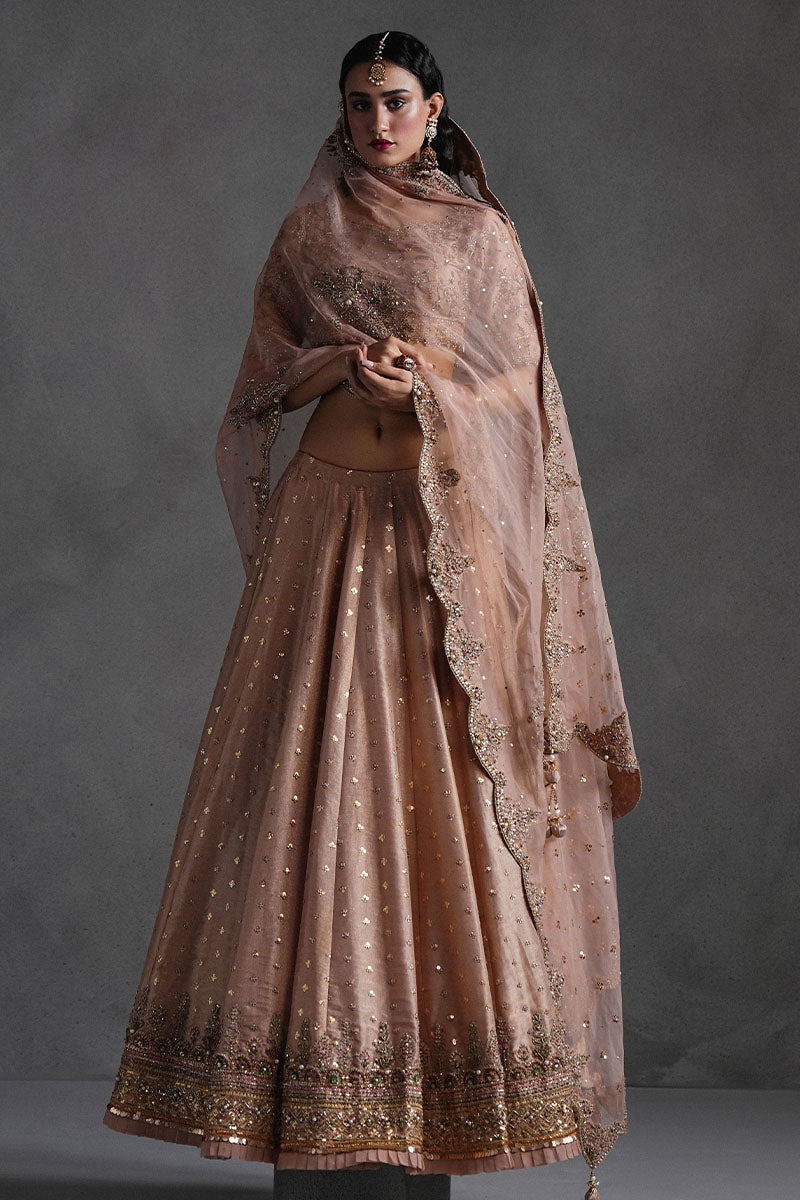 Rose Pink Lehnga Choli