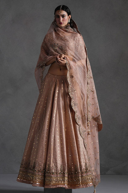 Rose Pink Lehnga Choli