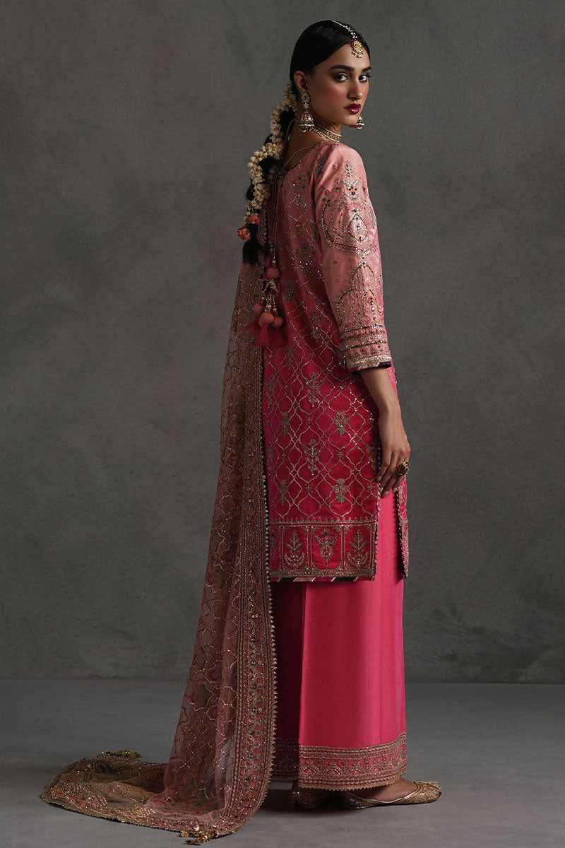 Mojgan Lighter Version