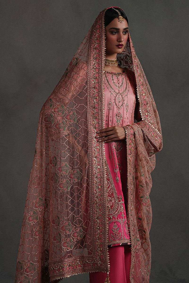 Mojgan Lighter Version