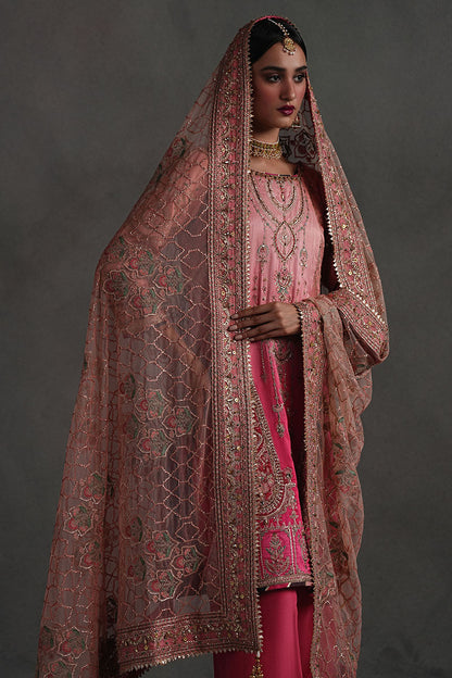 Mojgan Lighter Version