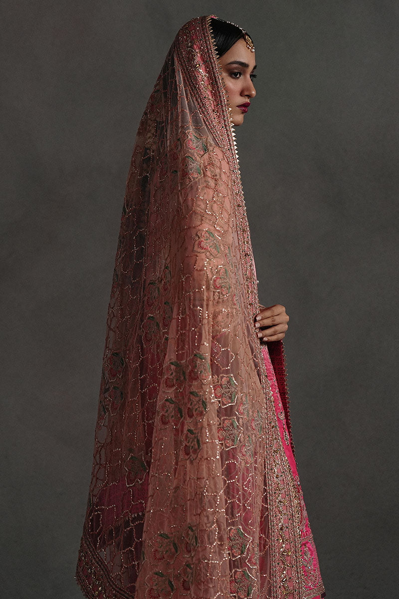 Mojgan Lighter Version