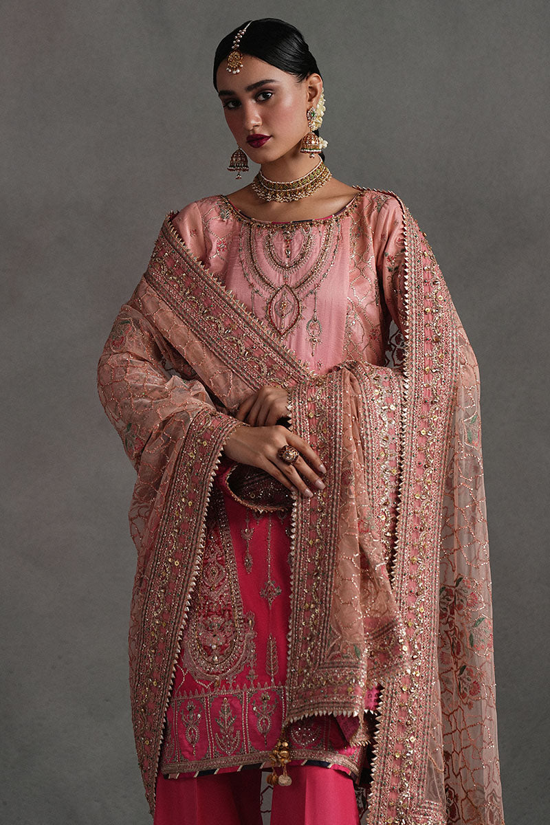 Mojgan Lighter Version