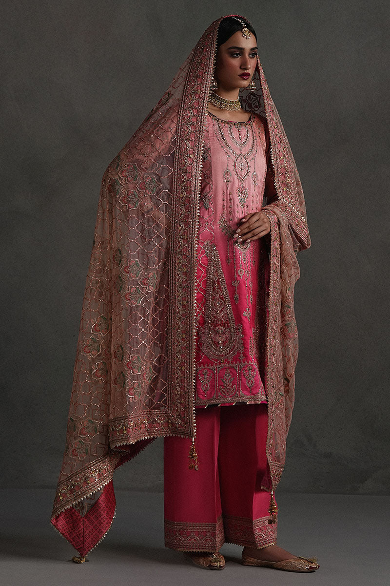 Mojgan Lighter Version