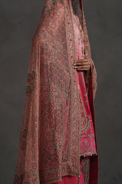 Mojgan Lighter Version