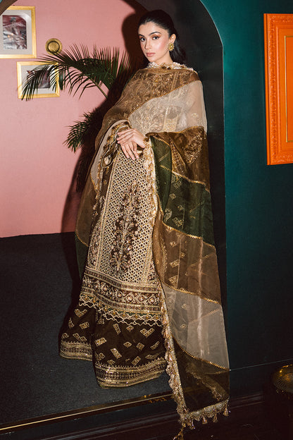 Zahra Sarfraz in Tabeer