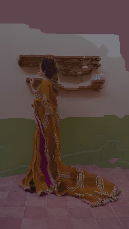 Zainab Reza in Ranjish